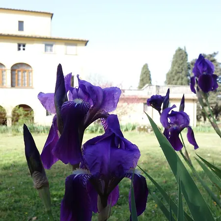 Bella di Ceciliano-2